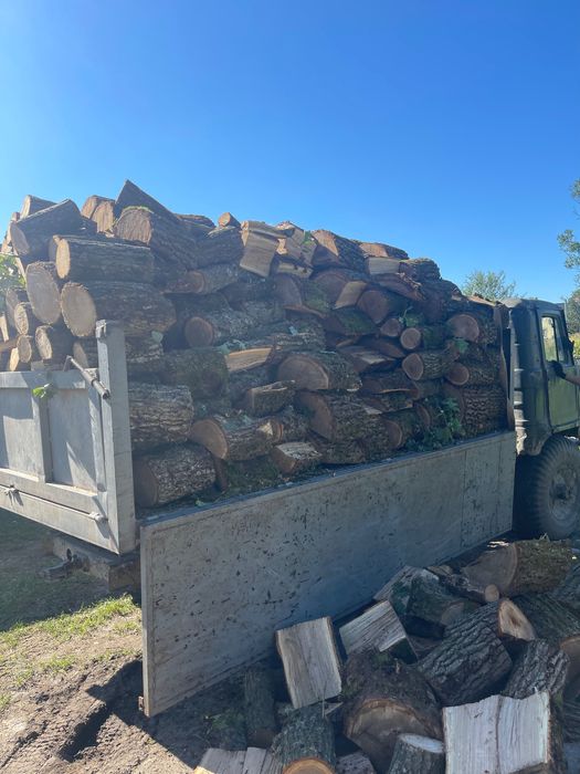 Продам дрова паливні твердої породи