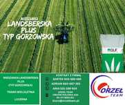 Mieszanka Landsberska Plus Gorzowska Festulolium odporna na suszę 25kg