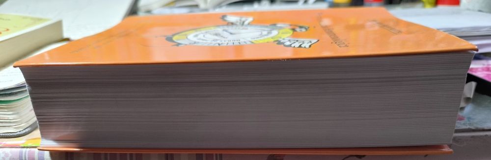 Pronunciação Fenomenológica - Fernando Pereira Martins