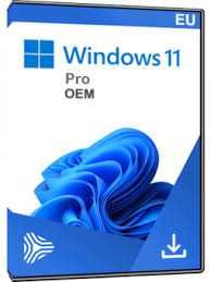 Microsoft Windows 11 Pro 64Bit, DSP/OEM Klucz