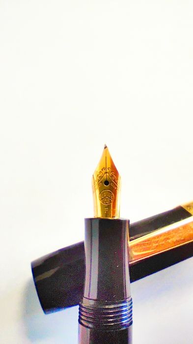 pióro wieczne Kaweco Sport black F i kieszeń