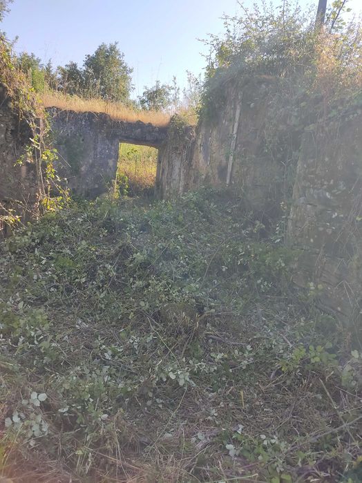 Vendo terreno com ruina