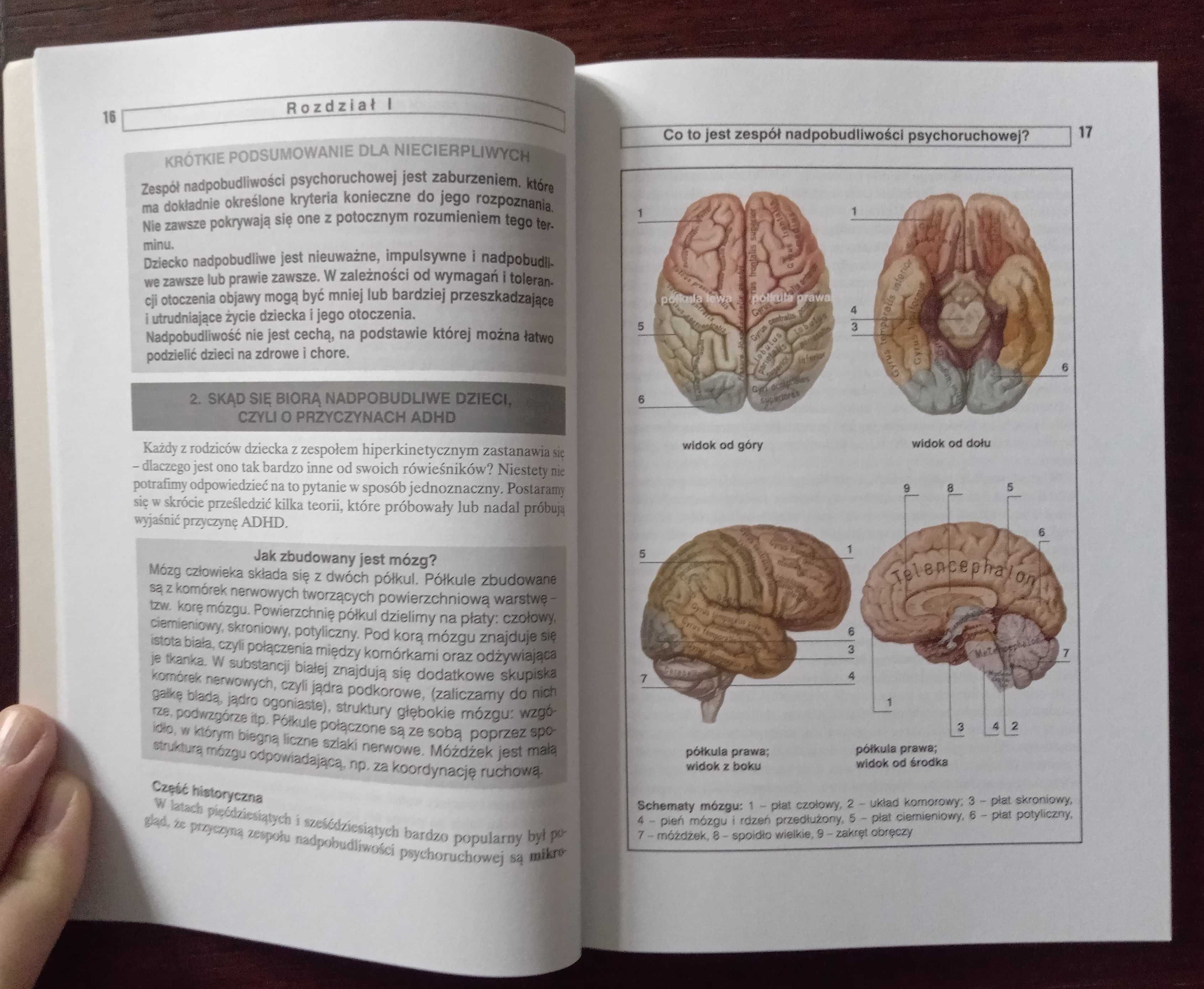 Nadpobudliwość psychoruchowa u dzieci