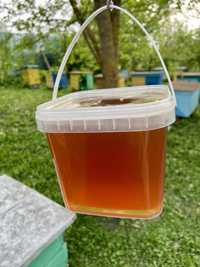 Мед садки+ріпак, травневий мед, рідкий мед 2024, майский мед
