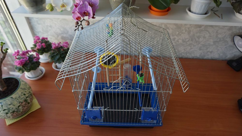 Клетка для попугаев, канареек и других маленьких птиц