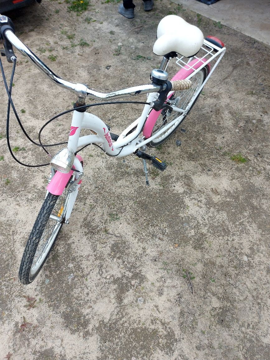 Rower dla dziewczynki 120-160