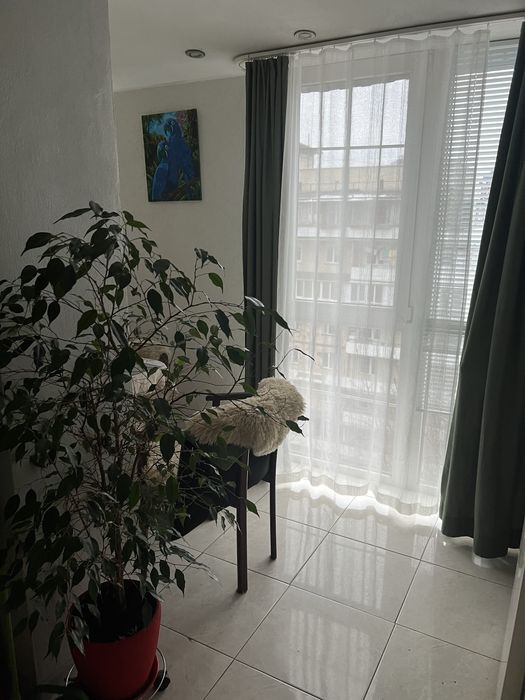 Здам 2-х кімнатну квартиру в Печерському районі