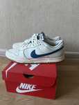 Nike dunk low SE