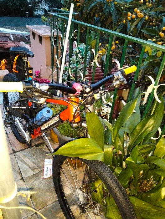 BTT cross country Cannondale roushe 7.  2008 totalmente resista