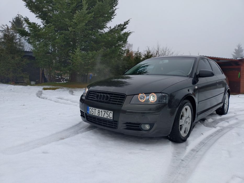 Audi A3 8p 2003 Diesel