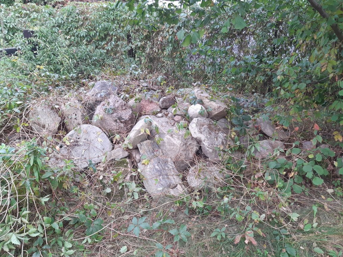 Kamienie polne głazy Bronisin Romanów kamień polny otoczak na skalniak