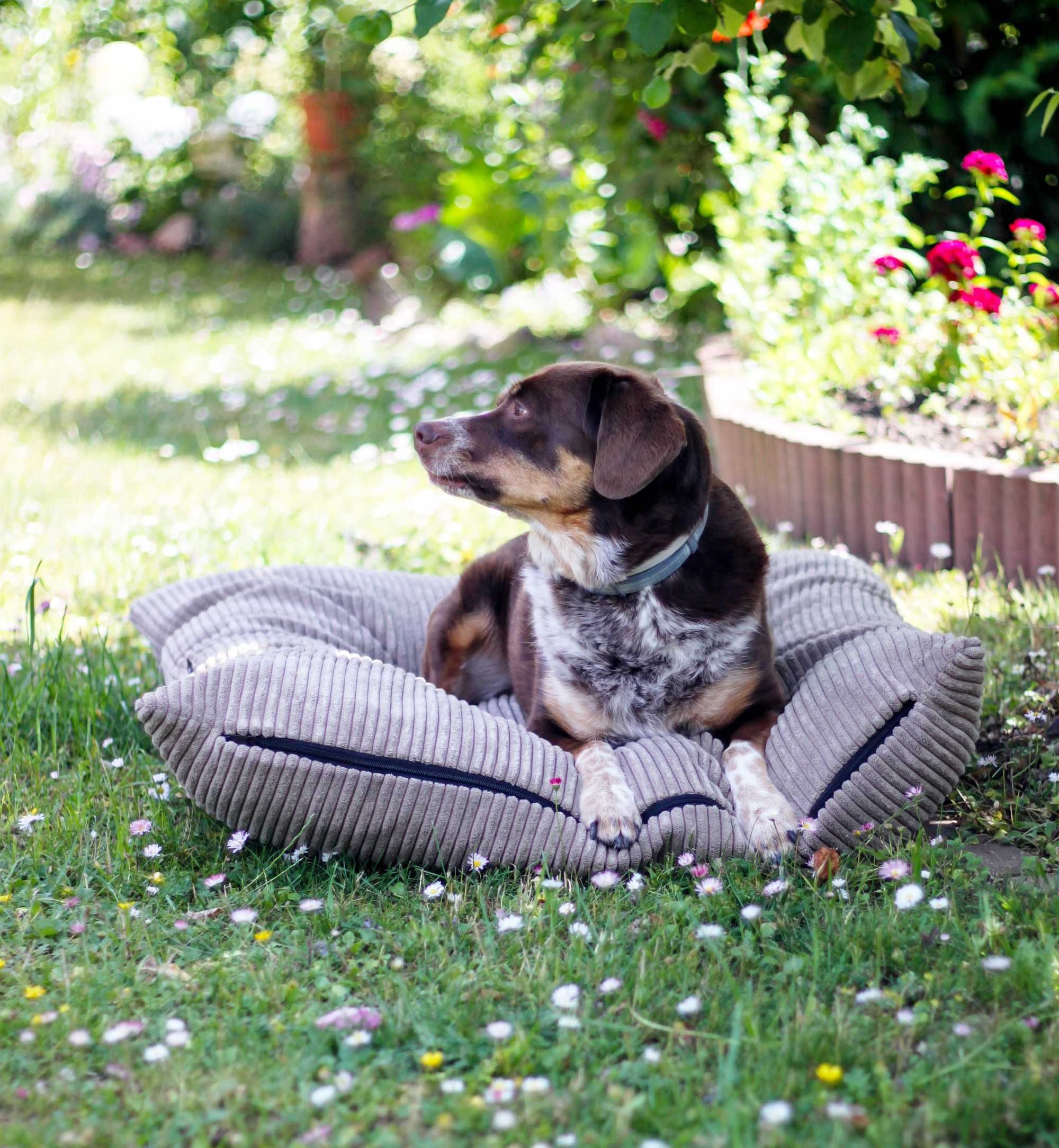 Legowisko poduszka dla psa MOLLY (120x100 cm, Beż)