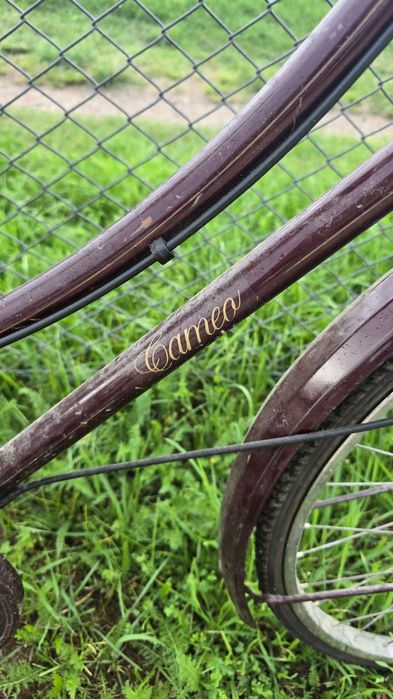 Damka Angielska retro