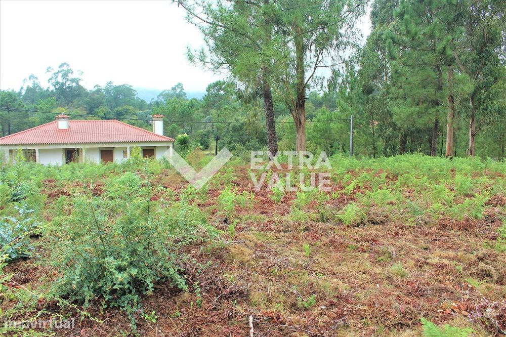Terreno Para Construção  Venda em Ardegão, Freixo e Mato,Ponte de Lima