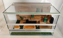 Terrarium z wyposażeniem dla gekona lamparciego, TW16P2ML, AquaWaves