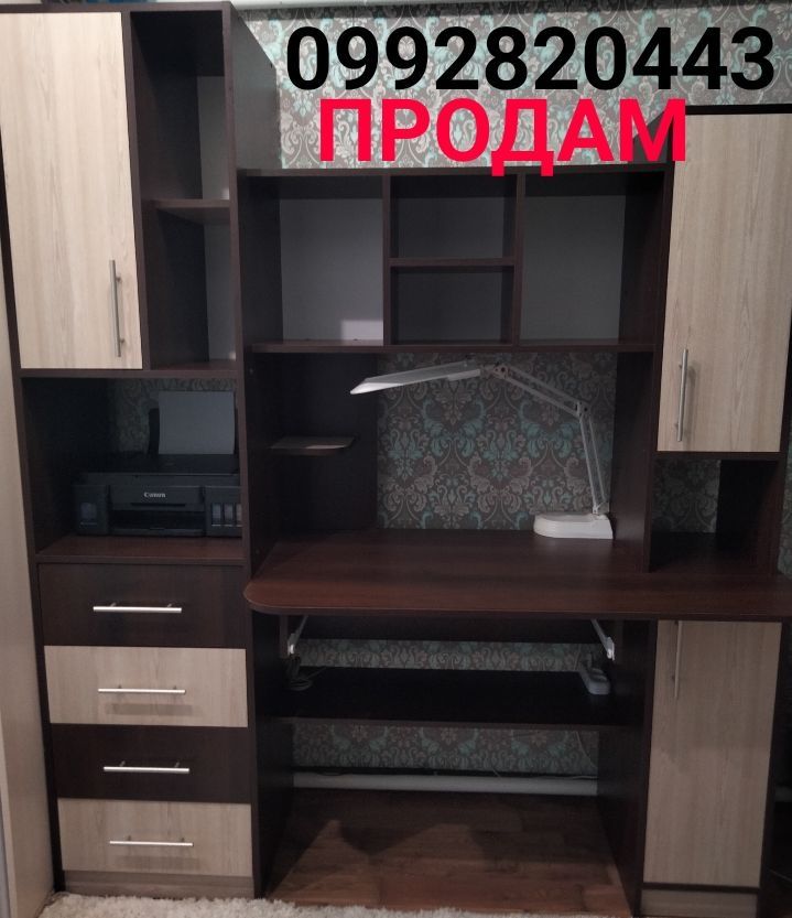 Письмовий/комп'ютерний стіл