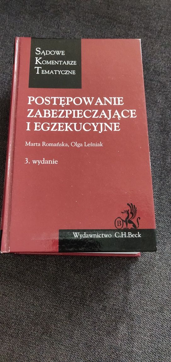 Postępowanie zabezpieczające i egzekucyjne M. Romańska O. Leśniak