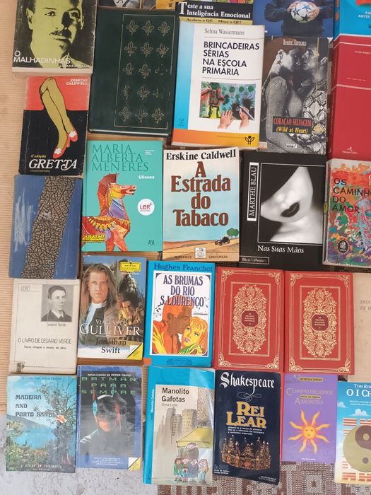 Livros romances técnicos e bds