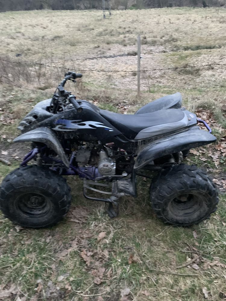 Atv quad cross bashan 110