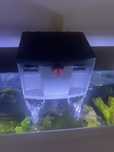 Filtro aquario eheim