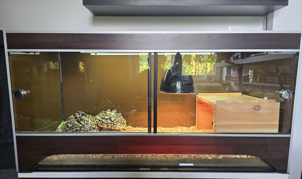 Terrarium z dla żółwia z wyposażeniem