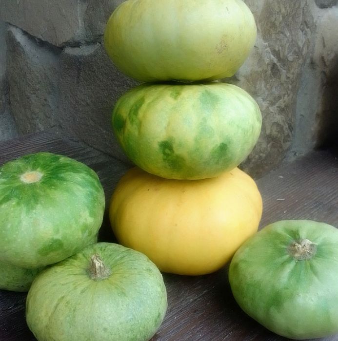 Семена декоративная тыква