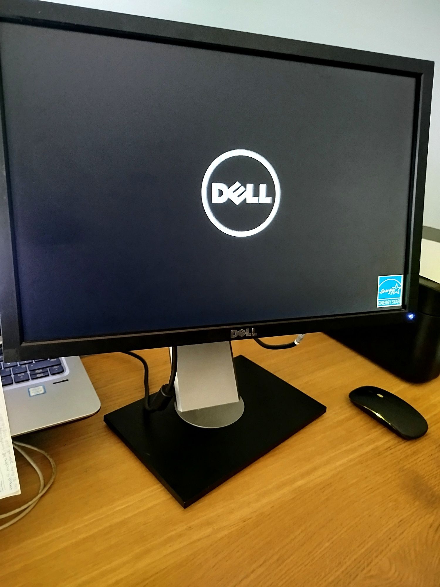 Monitor Dell P1911 19 polegadas