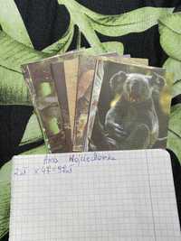 Karteczki dla Anna Wojciechowska