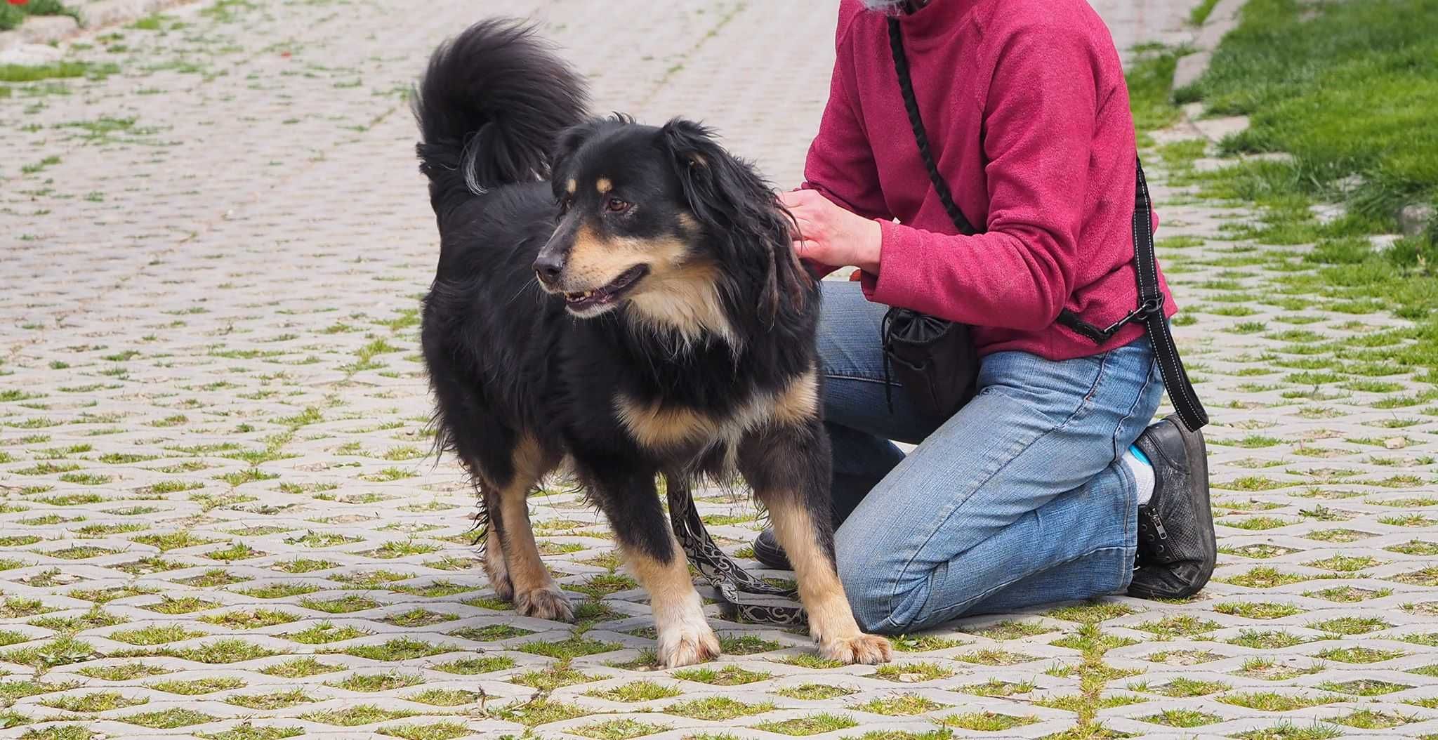 Poznaj Grubcia ! On bardzo kocha ludzi !