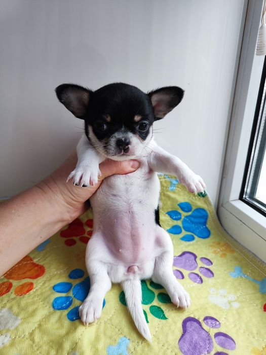 Кукляшная девочка