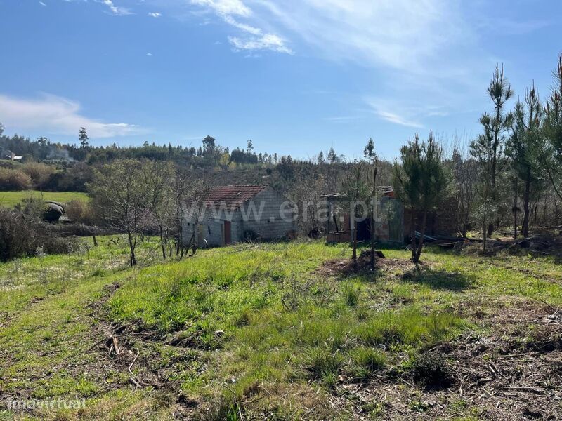 Terreno / Seia, Sameice e Santa Eulália