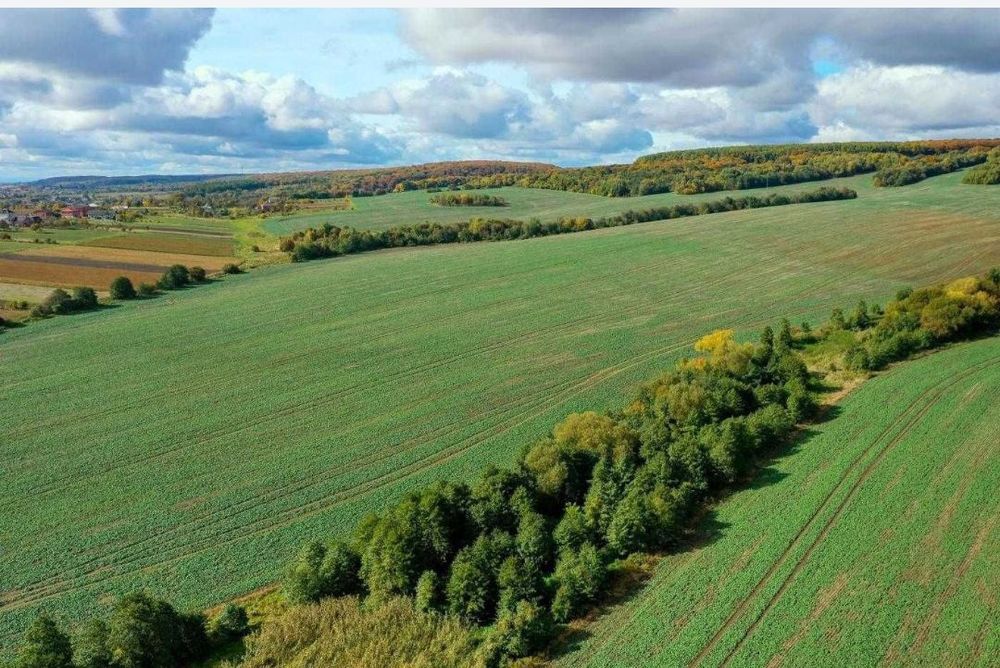 Продам бізнес з будівництва котеджного містечка