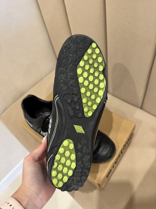 Сороконіжки футбольні