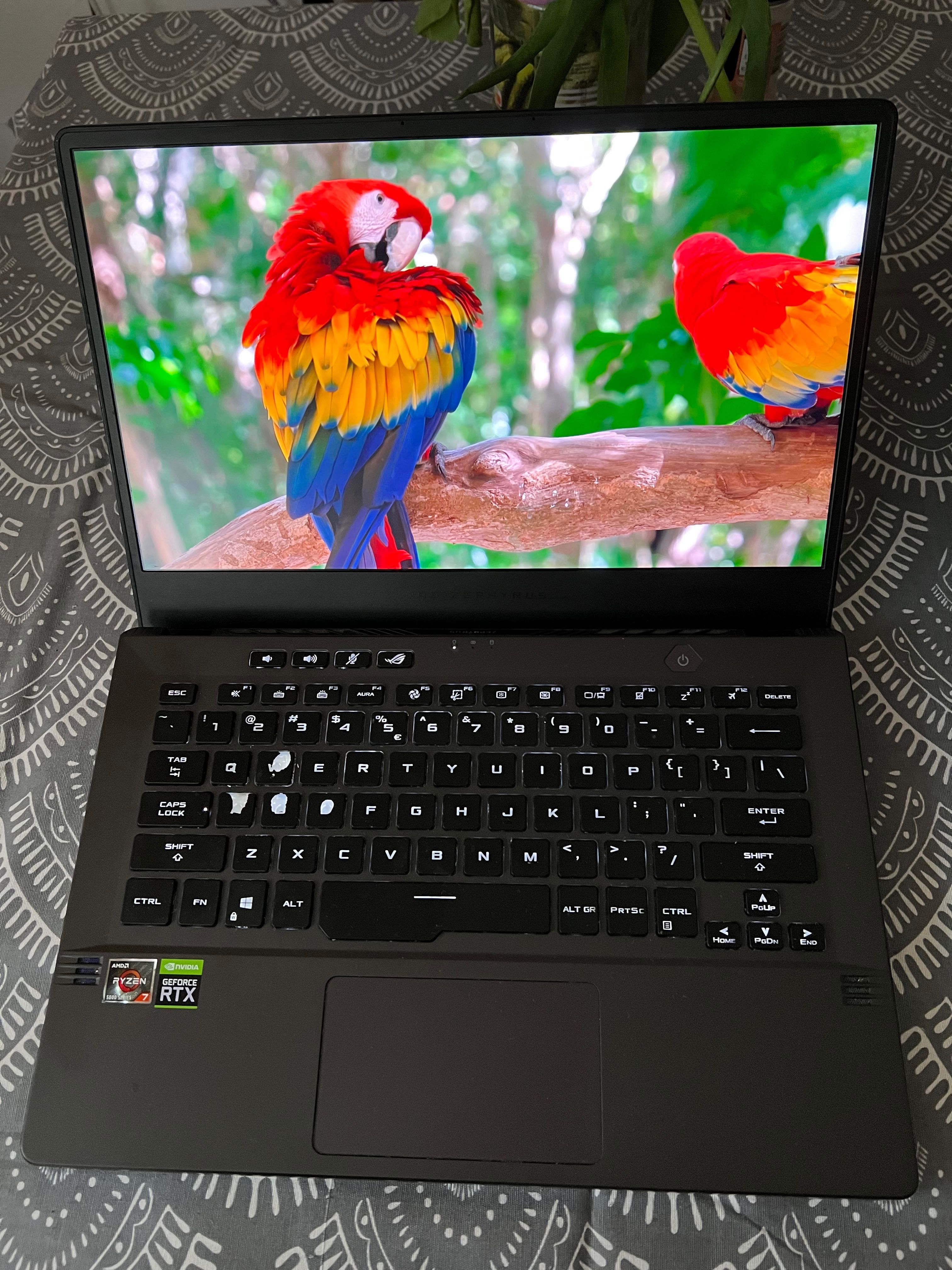 ASUS ROG Zephyrus G14 R7-5800HS/16GB/512/W10 RTX3050Ti