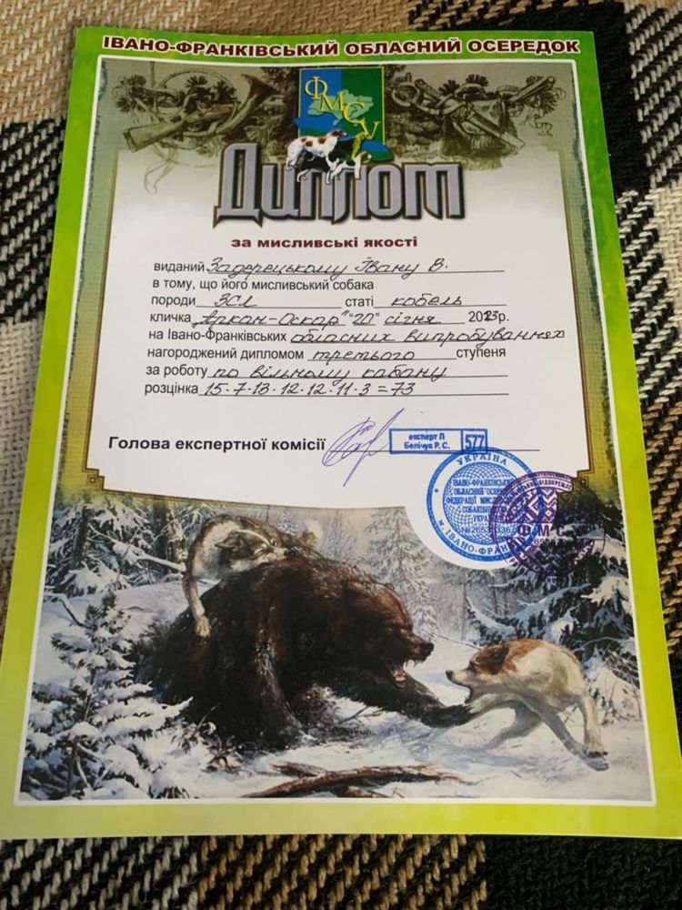 Західносибірска лайка
