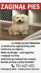 Zaginął biały pies