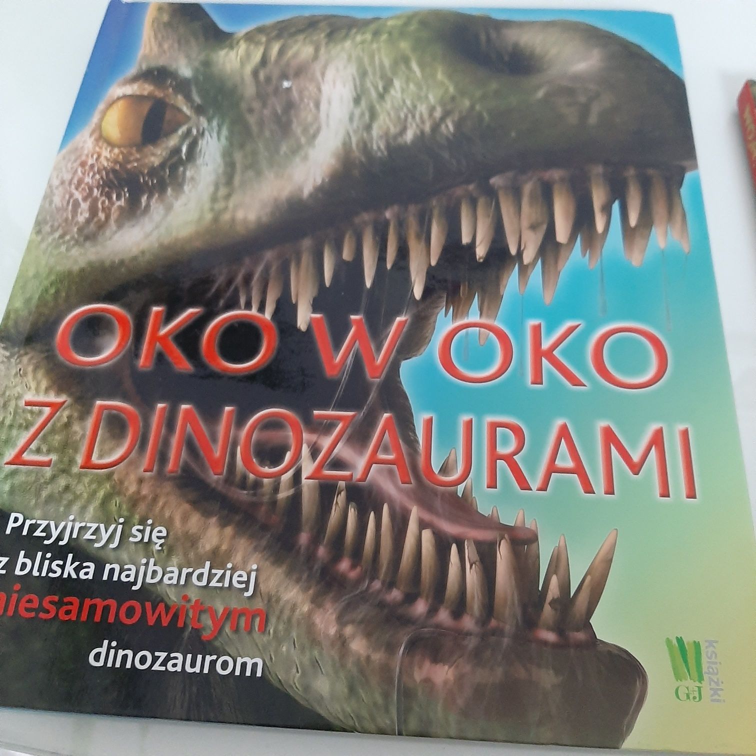 Dla fana dinozaurów figurki, książki