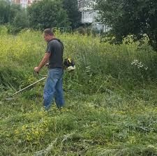 Покос травы, уборка участка спил деревьев, вывоз мусора.