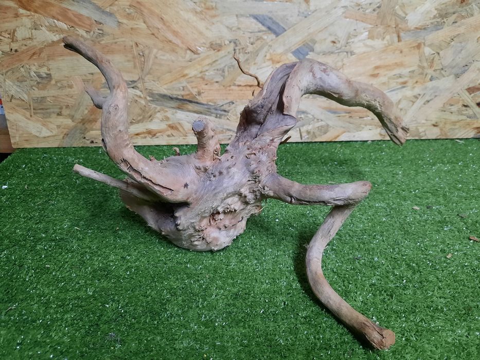 Korzeń do akwarium Red Moore Wood nr 971 o wymiarach 35/31/20