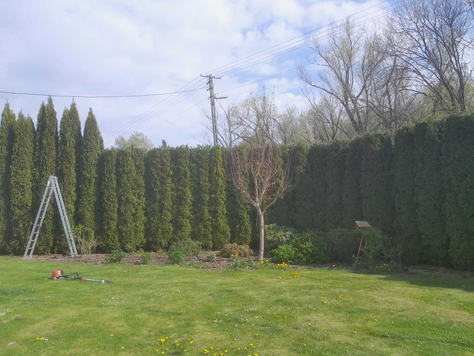 Usługi budowlane ogrodnicze, prace ziemne, wycinka drzew/krzaków rębak