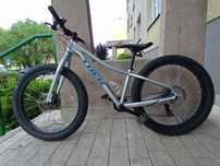 Trek Roscoe 20cali