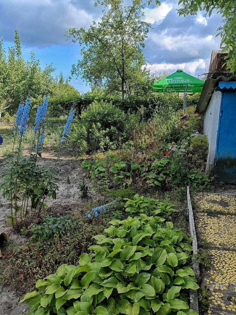 Продам дачу  Лісові Поляни, с. Надержинщина (Полтавська обл.)