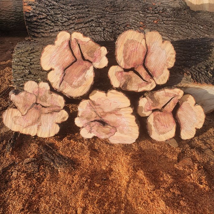 Plastry drewna na stoliki kawowe