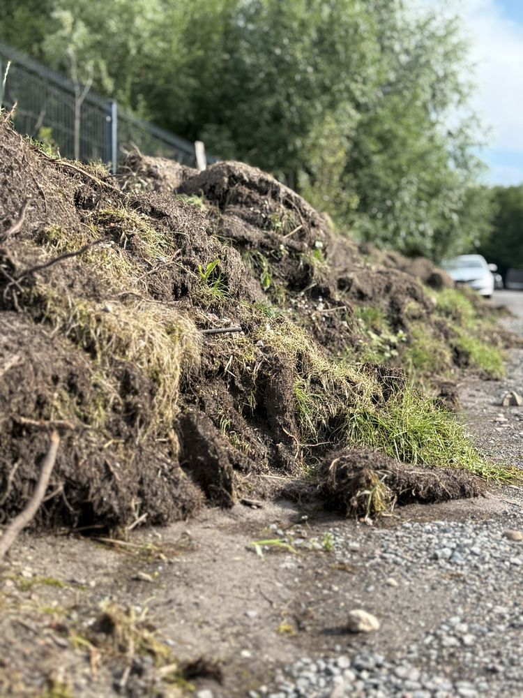 Humus Oddam za darmo Ziemie po wycięciu trawy z ogrodu 340m2