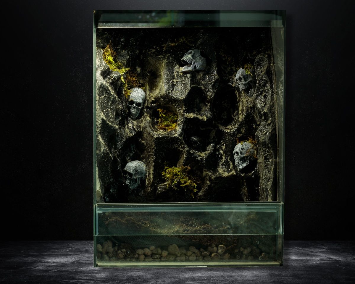 Terrarium tropikalne 40x40x60