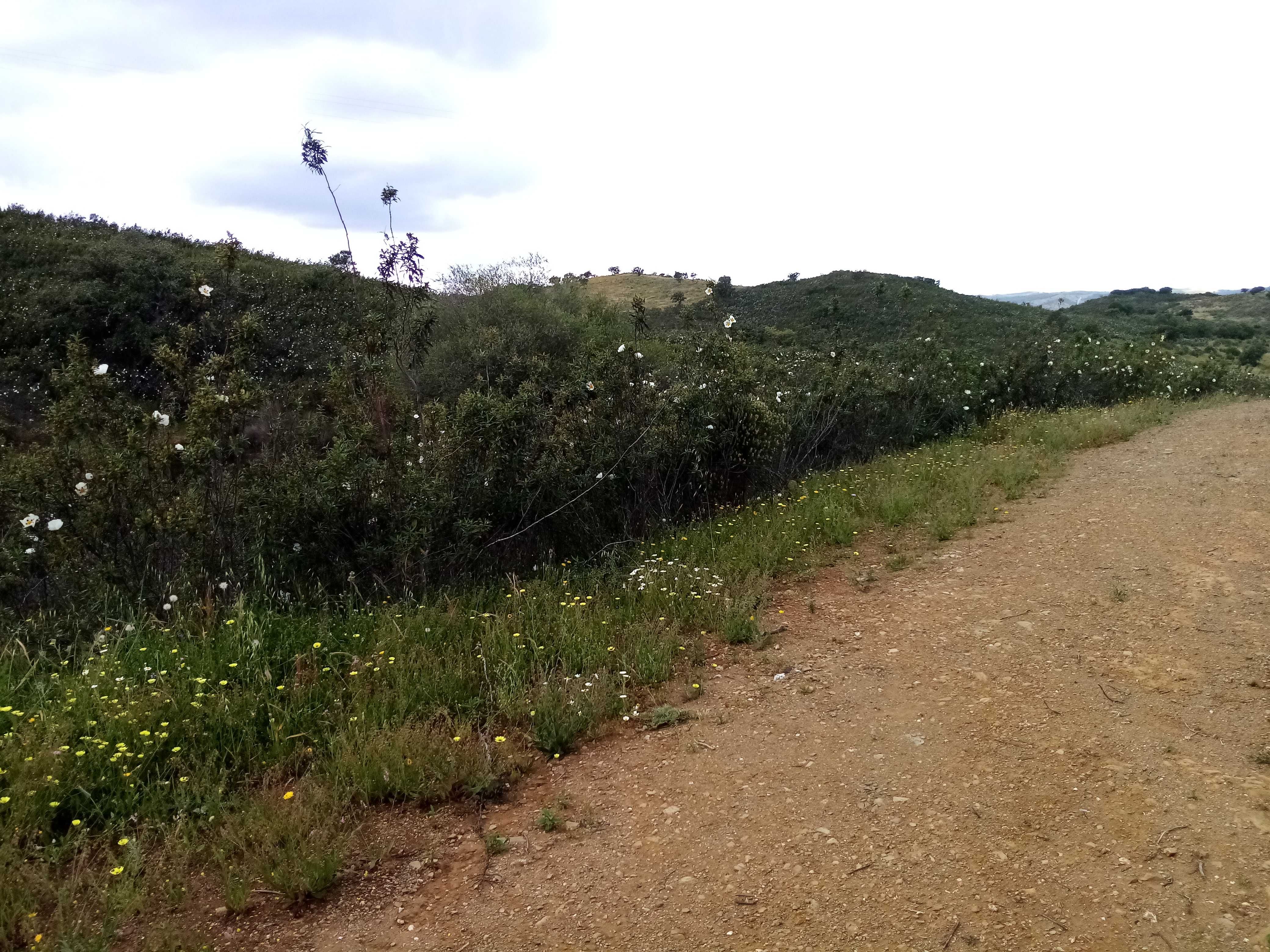 Vende-se terreno com barragem junto à estrada em Corte Serrano, 5456m2