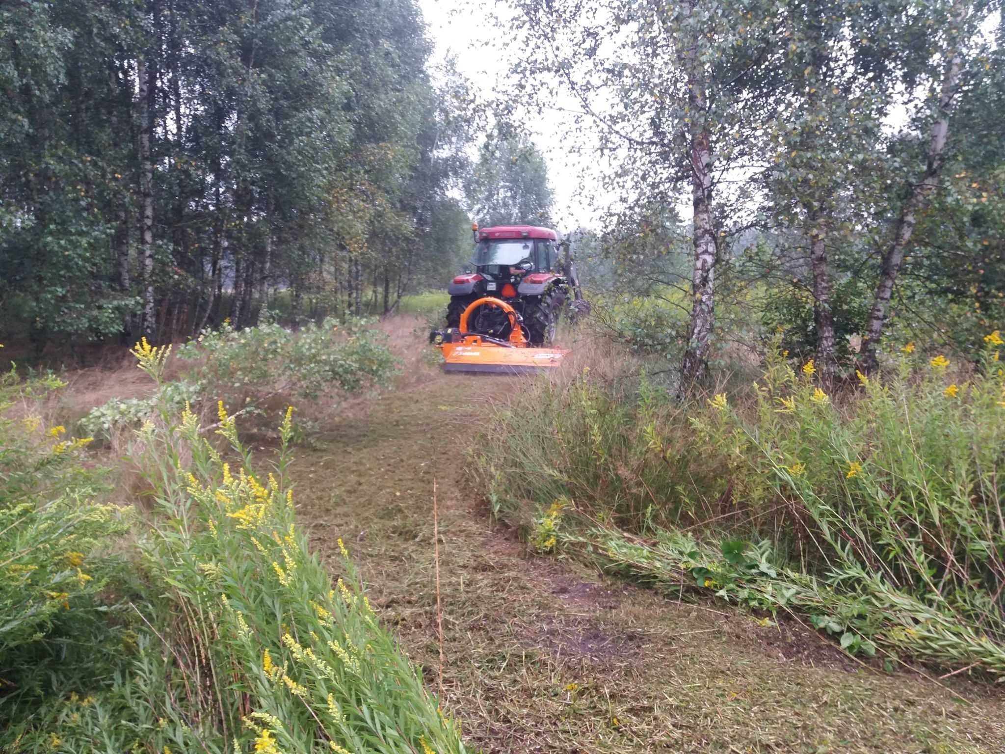 Koszenie nieużytków, łąk, zarośli, rowów, Mulczowanie, Wycinka drzew