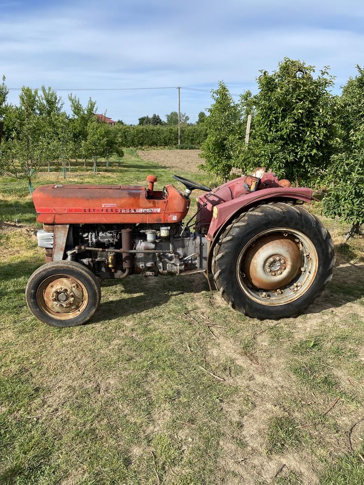 Massey Ferguson MF 135v, 3cyl perkins, sadowniczy 110cm, 147,158,235