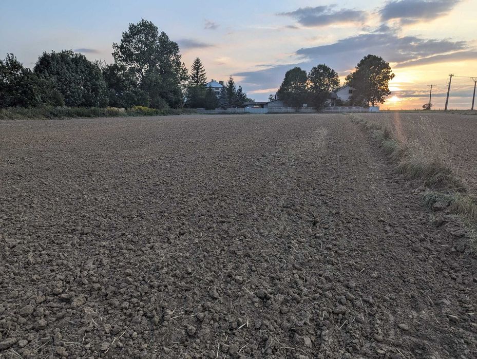 Działki budowlane gmina Skała Minoga/Nowa Wieś 2 x 20,5 ara --> 41 ar