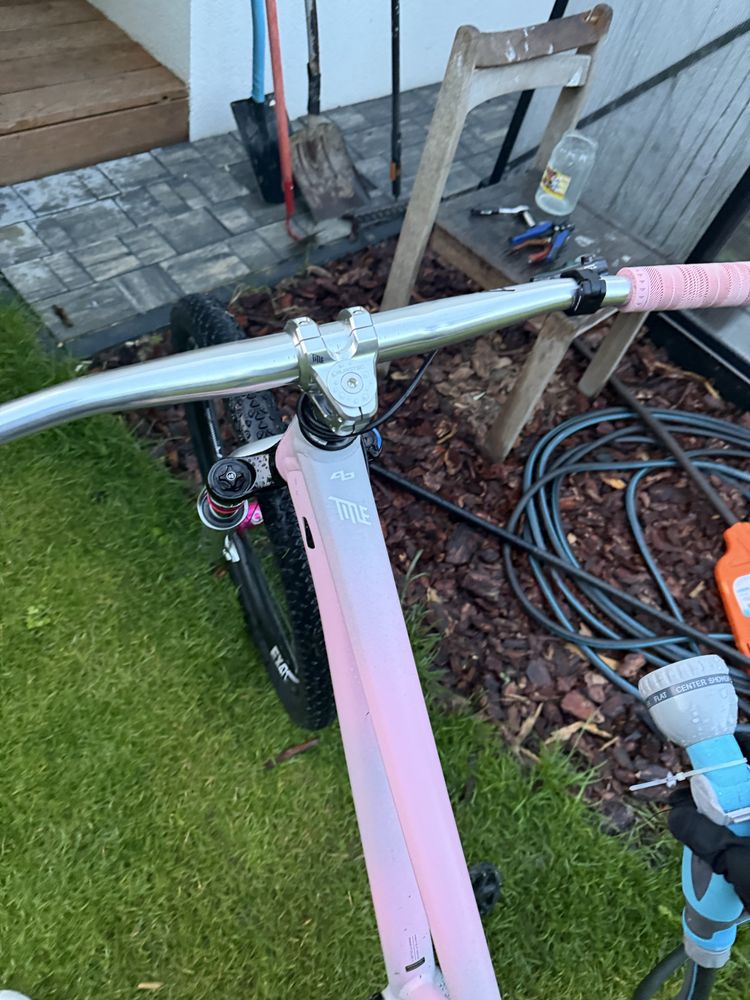 specialized p3 (custom)